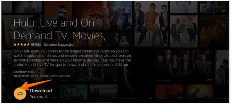 Click on Download Icon