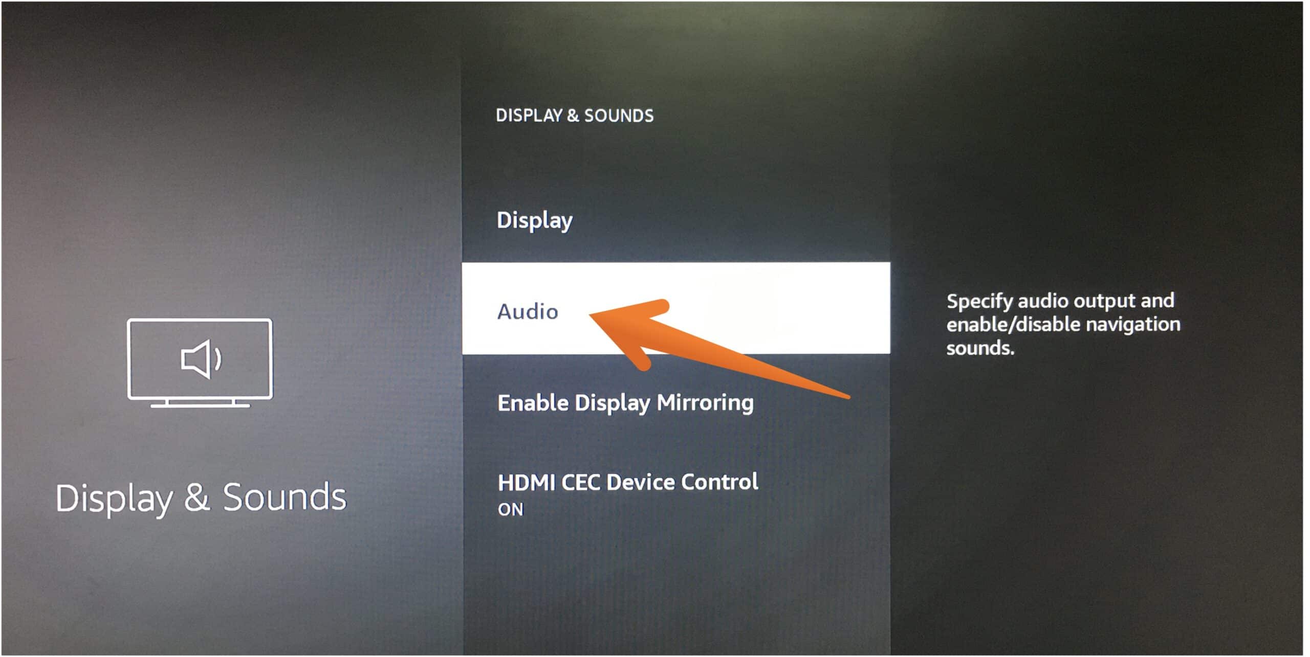 Select Audio Option