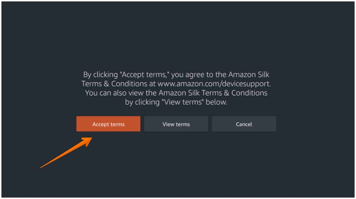 Click on Accept for Amazon Silk Browser