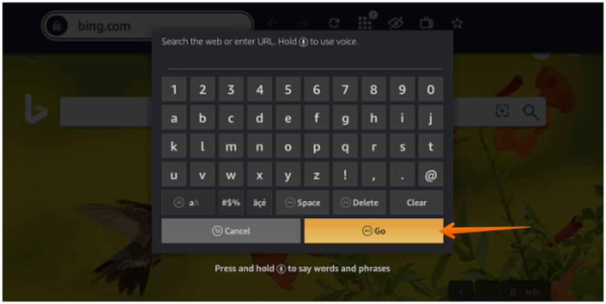Click on the Go for Amazon Silk Web Browser